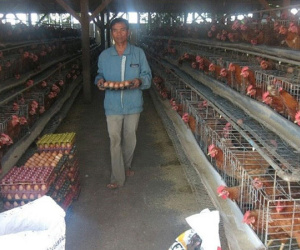 Lạ: Việt Nam nhập khẩu trứng gà, muối hằng năm