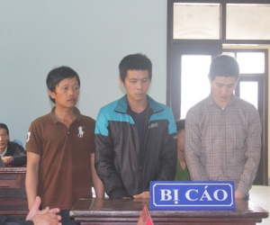 Quảng Bình: Đánh bác sĩ trong bệnh viện, 3 đối tượng lĩnh hơn 19 năm tù