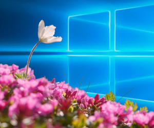 Windows 10 Spring Creators Update sẽ được tung ra trễ hơn dự kiến