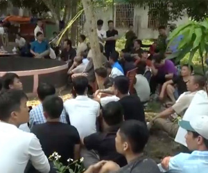 80 cảnh sát đột kích sới đá gà 'khủng', bắt 52 đối tượng