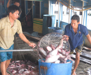 Trung Quốc ồ ạt nhập khẩu hàng từ Việt Nam