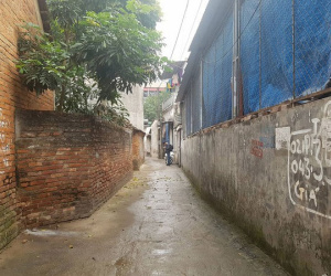 Tổ trưởng dân phố nói về nghi án mẹ sát hại con trai 19 tuổi: 'Người mẹ làm phụ hồ, quét rác và nuôi con khổ cực'