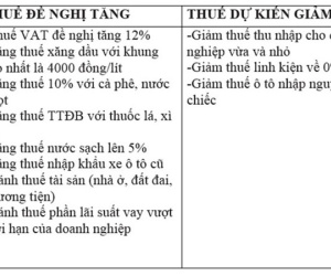 Vấn đề thuế - những cú sốc lớn: Tăng ào ào - giảm nhỏ giọt
