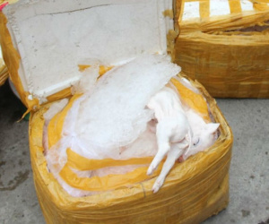 Phát hiện 400 kg heo sữa bốc mùi hôi thối trên đường vào quán ăn