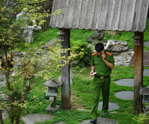 Ảnh minh họa