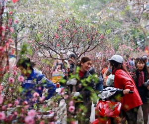 Có nên nghỉ 9 ngày Tết Âm lịch 2019?