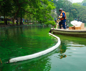 Sáng 17/4 nước Hồ Gươm bỗng xanh bất thường, phát hiện có tảo độc
