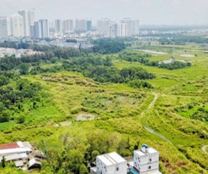 Thành ủy TP.HCM lên tiếng về việc bán đất công cho Quốc Cường Gia Lai