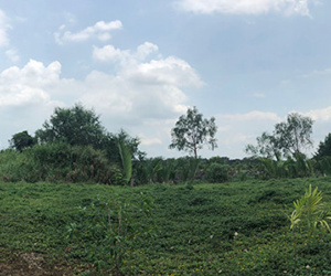 Hơn 320.000 m2 đất công của TP HCM bị bán rẻ thế nào