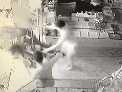 Video: Con trâu lao vào 'cướp' tiệm vàng, chủ nhà chạy toán loạn