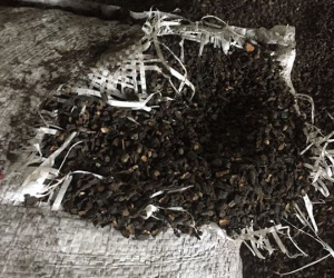 Phó Giám đốc công an nói gì về vụ phế phẩm cà phê nhuộm pin?
