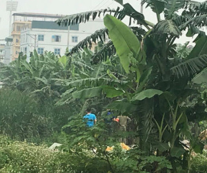 Hà Nội: Đi nhặt phế liệu, người phụ nữ hốt hoảng phát hiện thi thể đang phân hủy