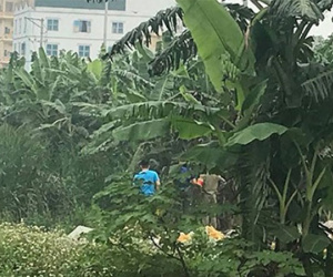 Thi thể cháy xém trong bao tải ở bụi cây ở Hà Nội