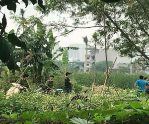 Ảnh minh họa