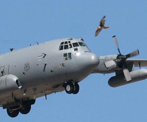 Mỹ tâm phục khi EC-130H bị gây nhiễu tại Syria