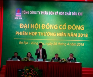 Tập đoàn Dầu khí Việt Nam sẽ 'cởi trói' cho Đạm Phú Mỹ