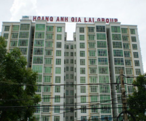 Cổ phiếu Hoàng Anh Gia Lai bị cảnh báo