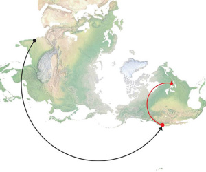 Dài cổ chờ thẻ xanh Mỹ, nhiều người chuyển hướng qua Canada