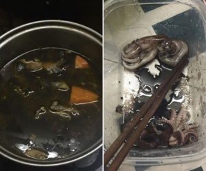 Khoe bạn gái nấu lẩu hải sản đen sì, anh chàng này còn tiết lộ nguyên nhân khiến dân mạng phì cười