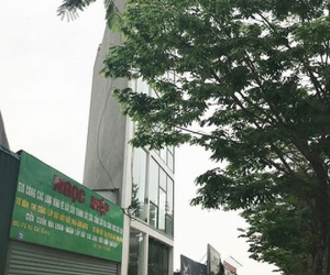 Ảnh minh họa