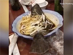 Cá vặn vẹo nhảy khỏi đĩa dù đã được nấu chín
