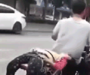Video: Không chịu đi học, bé gái bị bố trói sau xe máy chở đến trường