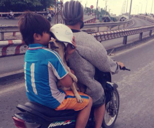 Hình ảnh ’em bé và chú chó trong ngày mưa’ khiến dân mạng thả ngàn tim vì cảm động