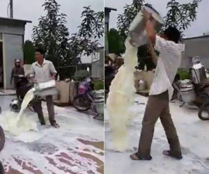 Người đàn ông giận dữ đổ từng thùng sữa xuống đường vì cho rằng cửa hàng thu mua ép giá