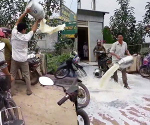 Nông dân đổ sữa lênh láng, công ty sữa lên tiếng