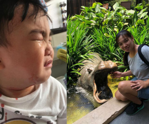 Bé trai được cứu khi nữ giúp việc hành động điều mà không phải ai cũng dám