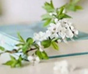 Thứ Ba của bạn (9/5): Bọ Cạp kiệm lời là tốt nhất