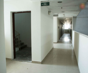 49 ngày sau thảm họa, chung cư Carina đang dần hồi sinh