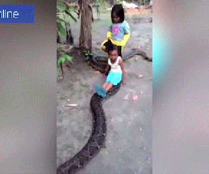 2 bé gái Indonesia hồn nhiên cưỡi trăn khổng lồ