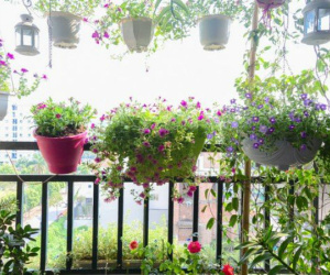 Mẹ chồng quy tiền công 5 tháng chăm cháu thành máy giặt 10 triệu
