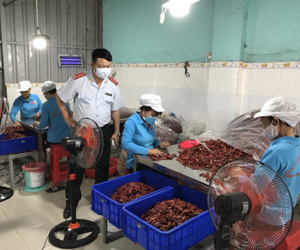Nhiều mẫu ớt khô, ớt bột có độc tính cao