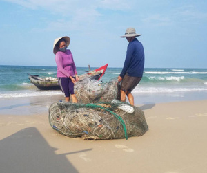 Sau sự cố Formosa, môi trường biển đã phục hồi chưa?