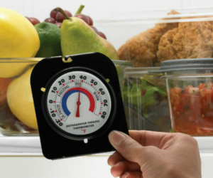 10 cách để tránh thức ăn bị ôi thiu mùa hè