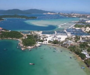 'Đặc khu là nơi Nhà nước kiếm tiền chứ không phải ưu đãi thuế'