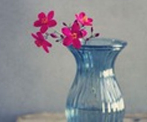 Thứ Sáu của bạn (18/5): Cự Giải liệu việc như thần