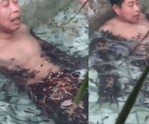 Chuyện thật như đùa: Thanh niên đi massage bằng cá, 5 phút sau cả đàn cá lăn ra chết mà không rõ nguyên nhân