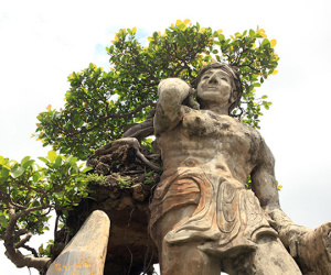 Xôn xao 'cây Thạch Sanh' được báo giá hơn 4 tỉ ở Hải Dương
