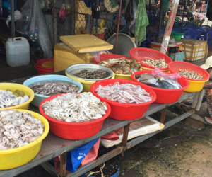 Bạc Liêu: Bí thư phường bị tố mua hải sản của dân rồi 'quên'… trả tiền