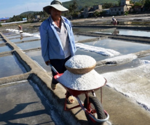Quảng Ngãi thu hồi 10 ha đồng muối Sa Huỳnh làm biệt thự