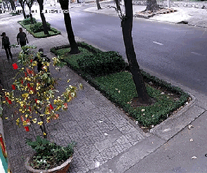 Clip: Nhân viên Tổng Lãnh sự quán Nga tại TP. HCM bị giật dây chuyền khi đi bộ
