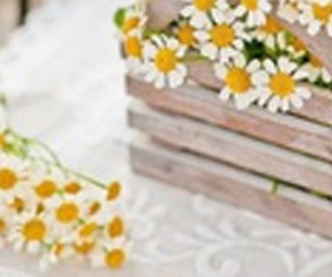 Thứ Năm của bạn (24/5): Cự Giải hãy quan tâm gia đình nhiều hơn