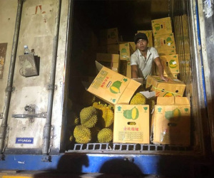 Hà Nội: Xếp hàng giữa trưa nắng tranh mua 17 tấn sầu riêng ế