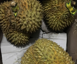 Dân mạng truyền nhau vụ giải cứu sầu riêng ở Hà Nội là chiêu bán hàng