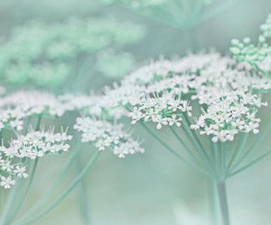 Thứ Bảy của bạn (26/5): Thiên Bình hãy thử những thứ mới mẻ