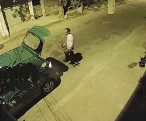 Xôn xao clip tài xế taxi Mai Linh ở Nghệ An trộm 4 chậu cây cảnh của nhà dân