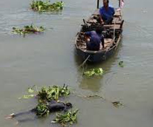 Bị chủ nợ dọa xẻo lỗ tai, thanh niên bán bánh mì nhảy sông tự tử